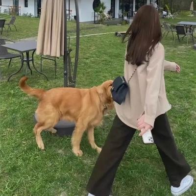 吉姆·索普